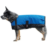 Schneiders Insulated Waterproof Reflective Dog Coats II | Reflective Stiching | 600D Polyester Waterproof | Soft Nylon Lining | Medium Weight 200gm | Color Royal | Size Medium