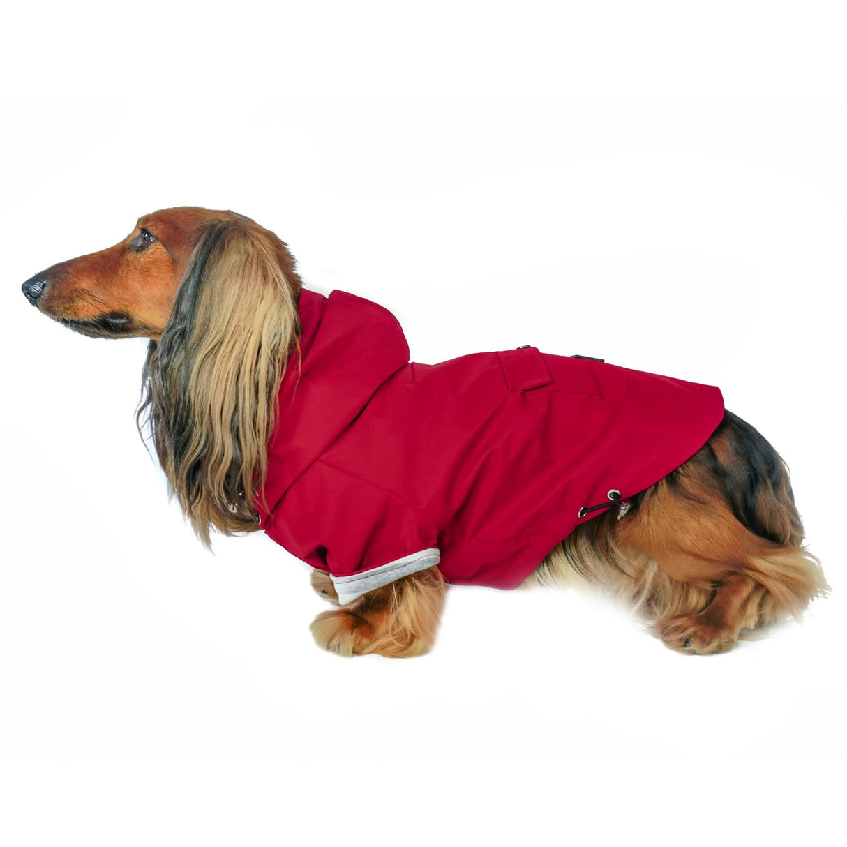 DJANGO Highland Dog Jacket & Raincoat – Water-Repellent, Lined Dog Coat with Hood, Adjustable Fit & Harness Hole – Lightweight Rain & Wind Jacket for Small & Medium Dogs up to 30 lbs (Red, Medium)