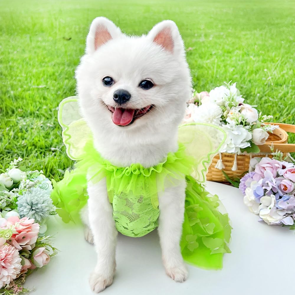 Anelekor Rainbow Butterfly Dog Dresses for Small Dog Girl Puppy Lace Tutu Princess Dress Cat Outfit Pet Butterfly Costume for Kitten Chihuahua Yorkie Pomeranian (Green, X-Large)