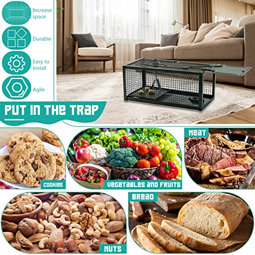 Qualirey 2 Pcs Humane Mouse Trap Live Rat Trap Mice Cage Work for Indoor and Outdoor Mouse Voles Hamsters Catch and Release (Green)