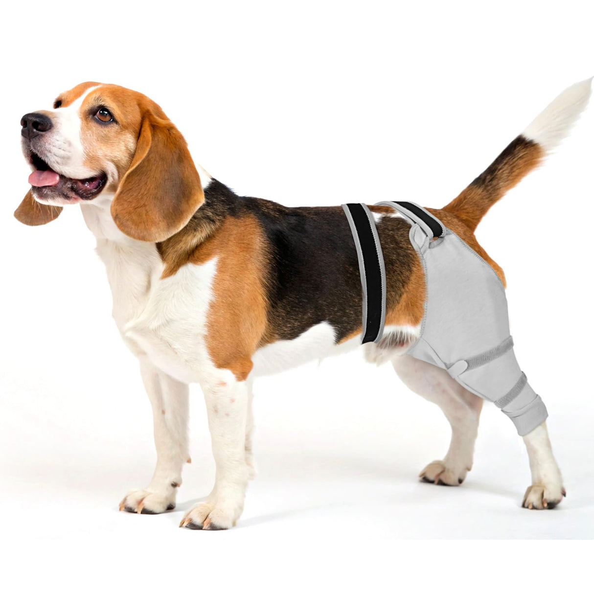 Joypig Dog Sleeve for Rear Legs to Stop Licking, Upgraded Surgical Recovery Sleeve for Hind Back Leg Wound,TPLO, ACL Surgery, Light Comfortable Cone Alternative (S,Black-Gray)