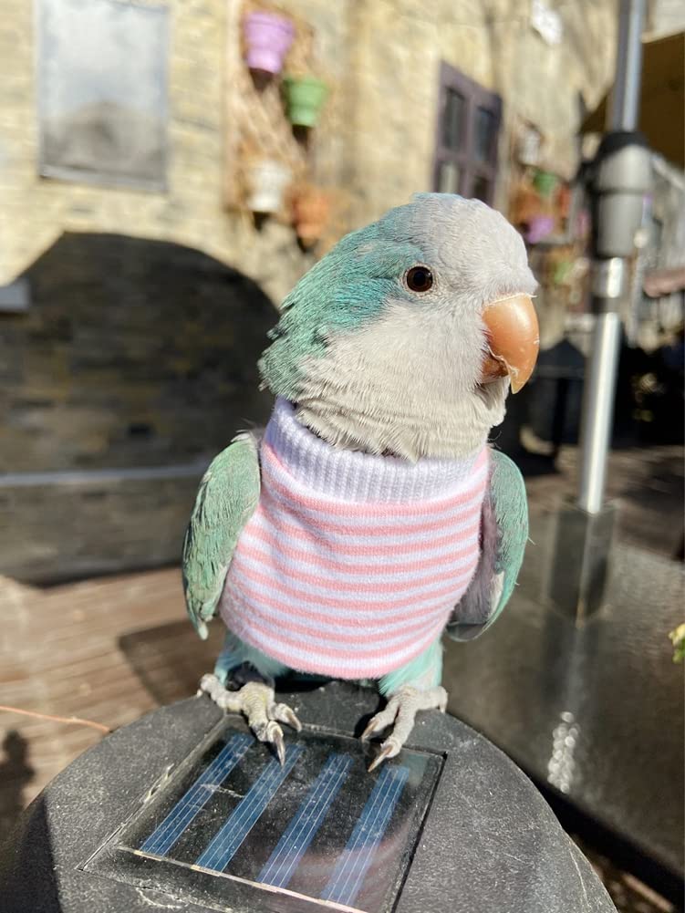 Bird Clothes - Handmade Cotton Stripe Shirt Round Collar Sweater Flight Suit for Parrots African Greys Parakeet Cockatiel Sun Conure Christmas Halloween Cosplay Apparel Bird Supplies (5XL,Pink)