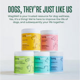 WagWell Ahiflower Omega Chews – Vet-Formulated, All Natural, Made in The USA – Skin, Coat, & Joint Chews for Dogs – Plant-Based Omega 3, 6 & 9 – Dog Fish Oil Alternative, Chicken-Flavored, 60 Chews