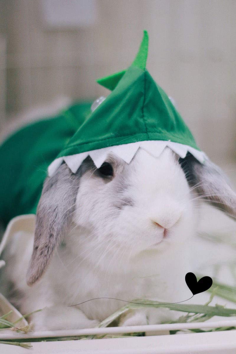 Rabbit Clothes Halloween Costume Dinosaur Harness Adjustable Hoodie for Halloween Dress Up Party Cosplay Photo Shoot for Rabbit Chinchilla Guinea Pig Kitten Puppy Small Animal (M (Chest:11"-16"))