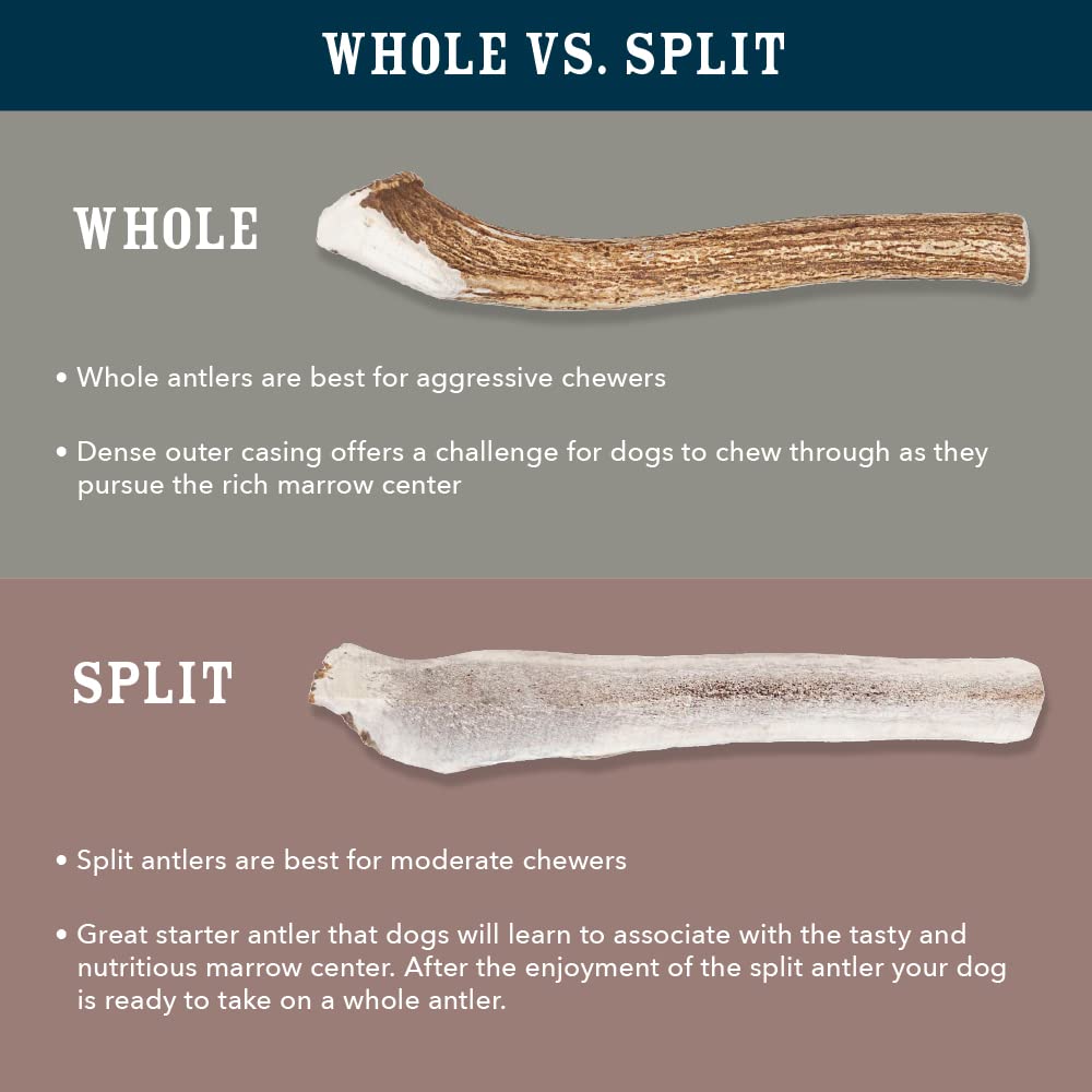 Wag Split Elk Antler, Naturally Shed, Long Lasting for Aggressive Chewers, Large (Best for Dogs 30-45 lbs)
