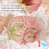 Zhilishu Ceramic Hamster Hideout, Strawberry Hamster House and Habitat, Syrian Hamster Hideout Decor Cool Bed for All Season Gerbil, Mice Guinea Pig