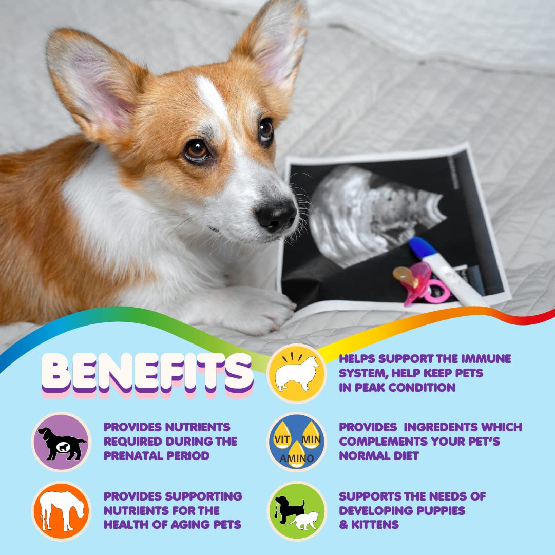 Dog Prenatal Vitamins – Multivitamin, Folic Acid, Calcium, Iron, Minerals and Amino Acids. Ideal for Pregnant, Breastfeeding and Newborn Pets – Senior Dog Supplement, Complete Puppy Multi Vitamin.