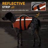 Queenmore Extra Large Dog Life Vest for Swimming Boating,Adjustable Ripstop Dog Life Vest for Large Dogs,Dogs Lifesaver with Rescue Handle, Doggie Swimming Vest for Big Pets,Orange,XL
