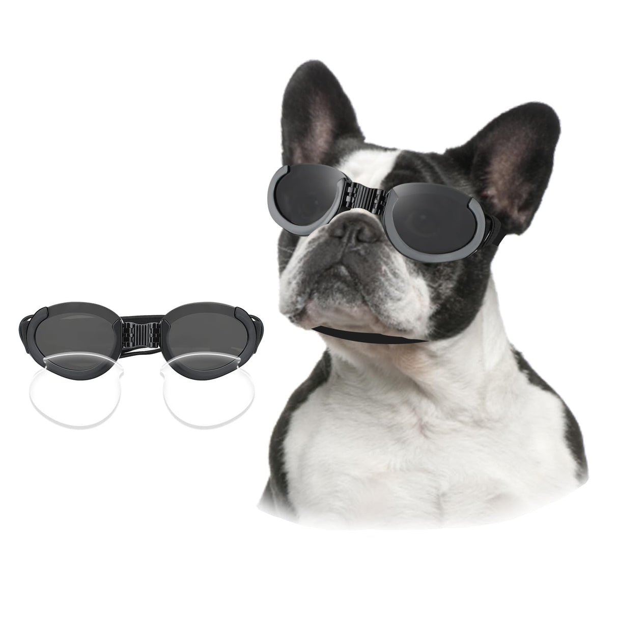 Lesypet Dog Goggles with Replaceable Lenses for Medium Large Breed, Anti-UV Wind Protection Dog Sunglasses Outdoor Motorcycling Driving Eye Protection Pet Sunglasses, Black
