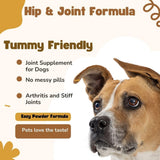 Nature's Pure Edge Glucosamine Powder for Dogs and Cats - Joint Supplement with Chondroitin MSM and Turmeric for Hip and Joint Support - Senior Friendly Formula 170g