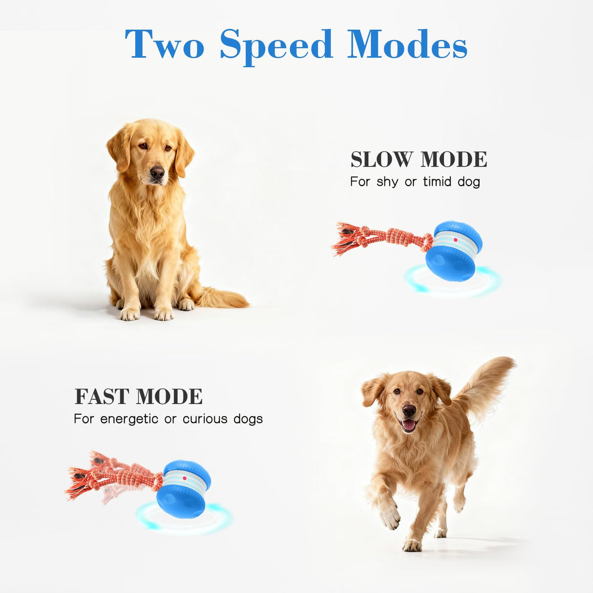 PJC Interactive Dog Toy – Automatic Electric Rolling Ball with Rope, Motion-Activated Play, Random Movement, Rechargeable, Ideal for Boredom Relief for All Dog Sizes