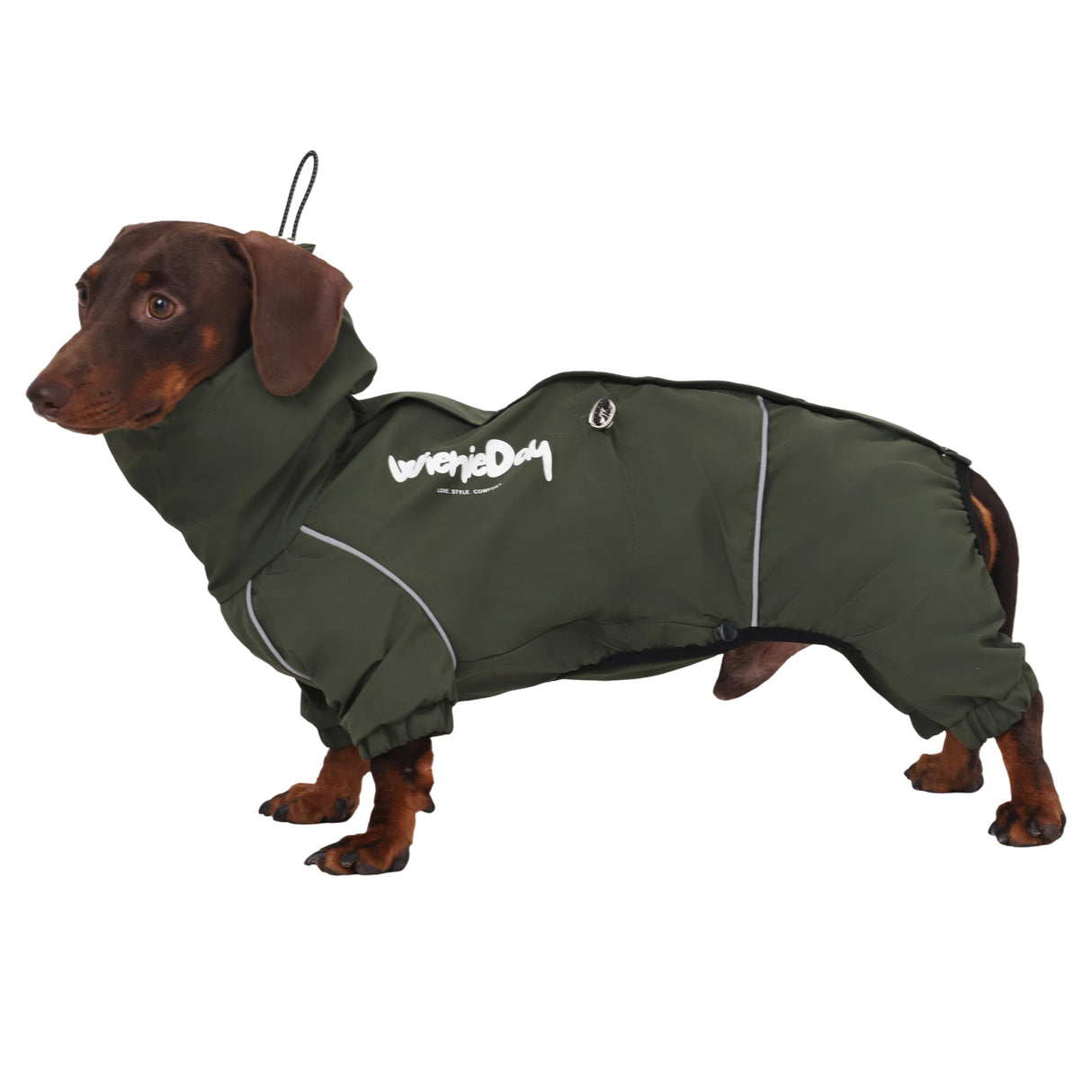 WienieDay Dachshund Full Body Dog Raincoat, Waterproof 4-Leg Jacket with Removable Belly Flap, Lightweight Reflective Hooded Dog Coat for mini Dachshund Small Medium Dogs (X-Large(20-25lbs))