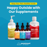 Paramount Pet Health Liquid Glucosamine for Small Dogs, 260mg Glucosamine Liquid for Dogs Joint Supplement for Mobility & Comfort, Easy-to-Use Liquid MSM & Chondroitin, 2 oz