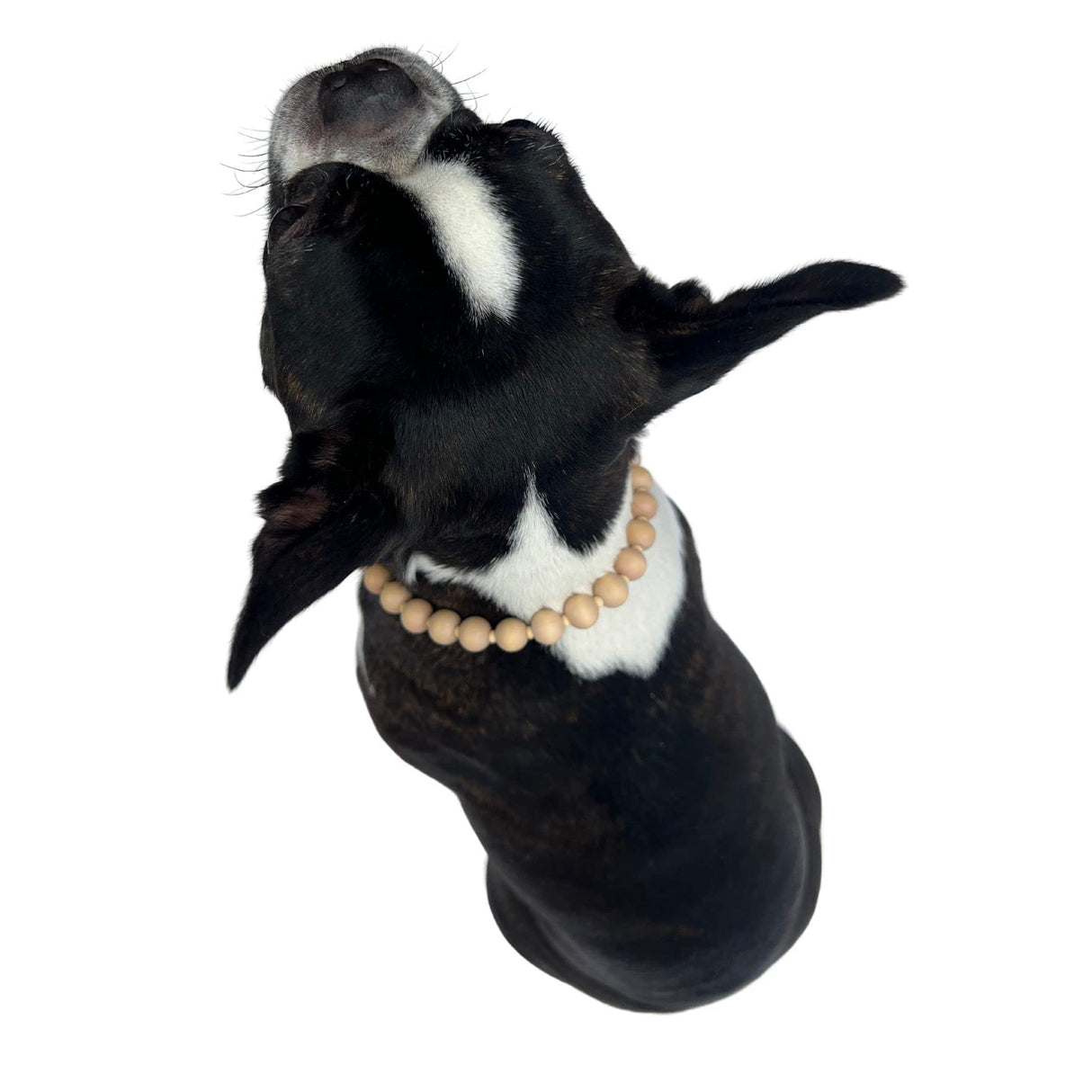 Wood Bead Pet Necklace Accessories for Dogs or Cats (Medium)