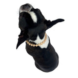 Wood Bead Pet Necklace Accessories for Dogs or Cats (Medium)