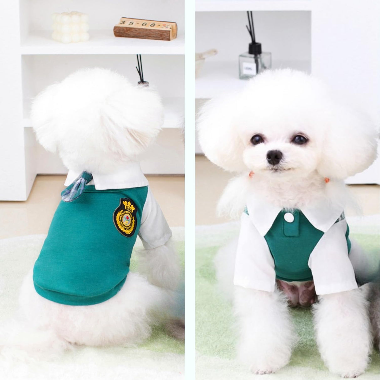 PayaSnug Green Dog Shirt with Bow Tie – Preppy Style Pet T-Shirt with Collar for Small Dogs, Fall Puppy Clothes for Boys and Girls, British School Look Pet Outfit(L)