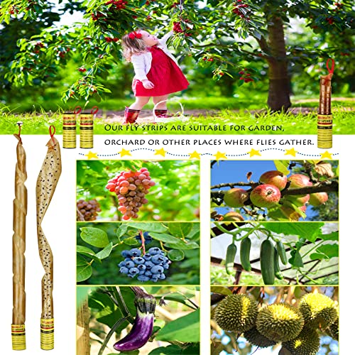 40 Rolls Fly Strips - Fly Tapes Fly Paper Sticky Fly Trap Indoor/Outdoor Hanging,Fly Catcher Fly Ribbon Fungus Gnat Trap Fruit Fly Killer for House/Kitchen/Plants/Horse Stable (40Roll)
