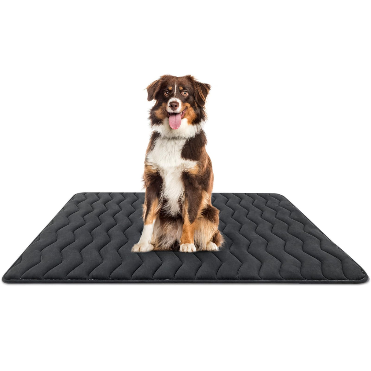 Bubble bear Dog Crate Mat - Upgraded Thick, Ultra Soft, Washable & Anti-Slip Kennel Pad for Small/Medium/Large Dogs, Dark-Hued to Hide Stains (59"x35")