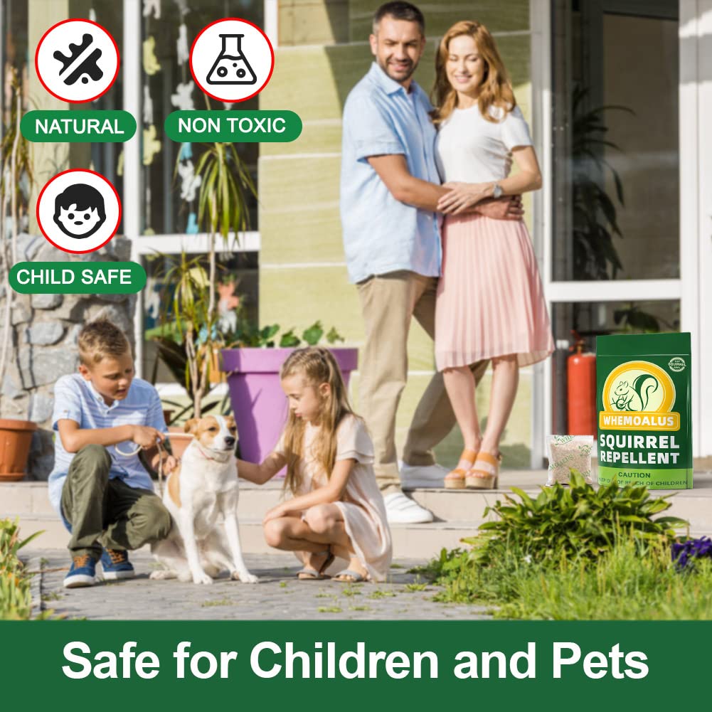 DALIYREPAL Squirrel Repellent Outdoor, Chipmunk Repellent Outdoor, Keep Squirrel Away, Outdoor Squirrels Repellent for Attic, Squirrels Repellent for Garden, Squirrel Deterrent Mint 8 Packs