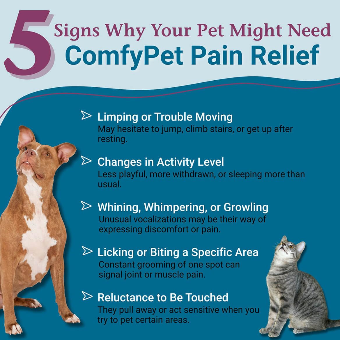 PetAlive ComfyPet Pain Relief for Dogs & Cats – Natural Homeopathic Supplement for Pet Joint & Mobility Support – 2 fl oz Drops – Made in USA