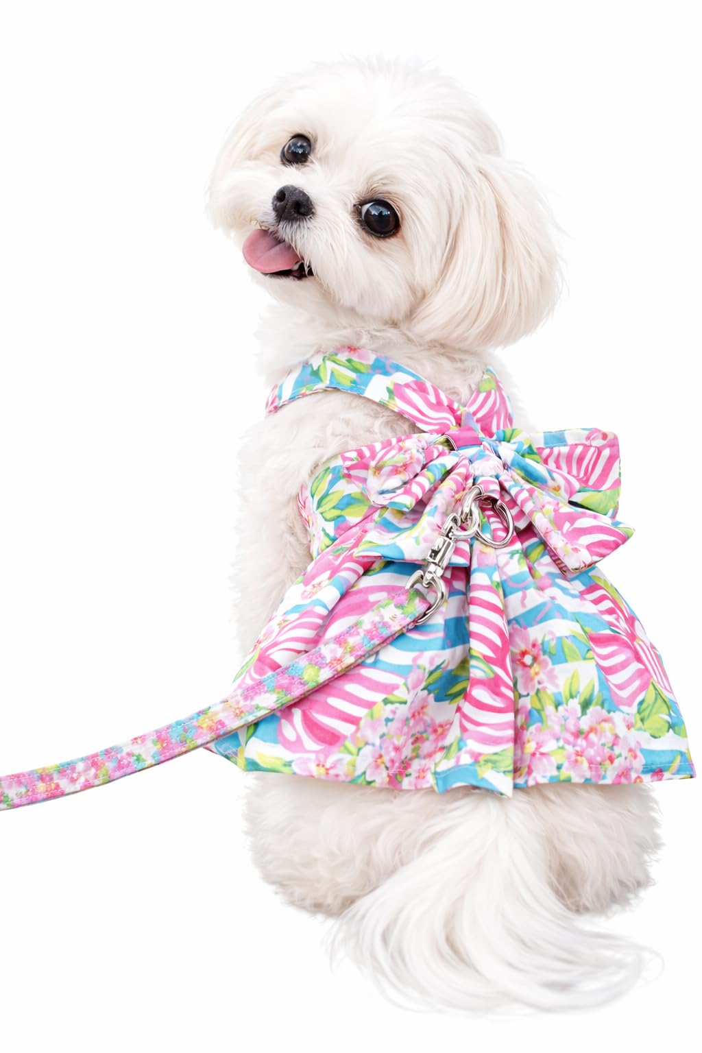 Dog Dress Bow Tie Harness Leash Set Harness Dress for Small Dogs Cute Dog Pet Girl Puppy Summer Clothes for Female Bunny Clothes Yorkie Chihuahua Training Walking (X-Large, VanityFur)