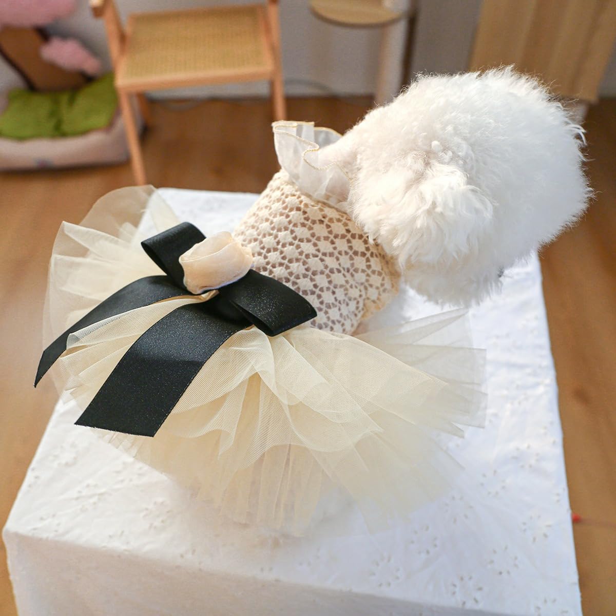 Dog Dress for Small Dog Girl Puppy Princess Tutu Dress Flower Decoration Cat Apparel Chihuahua Yorkie Clothes for Birthday Wedding Dress Lace Collar Dog Dress Dog Shirt Outfit Apparel Flower Large