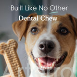 Arterra Pet Science Dog Dental Chews with Nano-Hydroxyapatite Next-Generation Daily Chews for Stronger Teeth, Fresh Breath, and Healthy Gut, 14 Count, Pack of 1