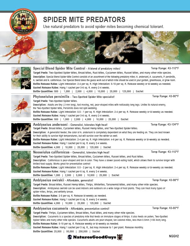 Nature's Good Guys 10,000 Live Adult Predatory Mites - P. persimilis a Predatory Mite Species for Spider Mite Control - Ships Next Business Day!