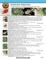 Nature's Good Guys 10,000 Live Adult Predatory Mites - P. persimilis a Predatory Mite Species for Spider Mite Control - Ships Next Business Day!