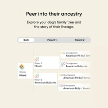 Load image into Gallery viewer, Embark Breed &amp; Health Kit - Dog DNA Testing Kit - Discover Breed, Ancestry, Relative Finder, Genetic Health, Traits, Allergy Risk Scores
