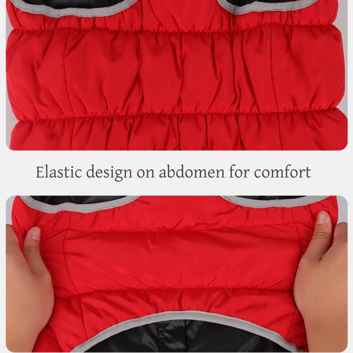 Hey Point Warm Dog Winter Coat Waterproof Dog Jacket Windproof Pet Clothes Reflective Cat Vest Puppy Clothes Kitten Clothing for Small Medium Large Doggie (Red, 2XL)