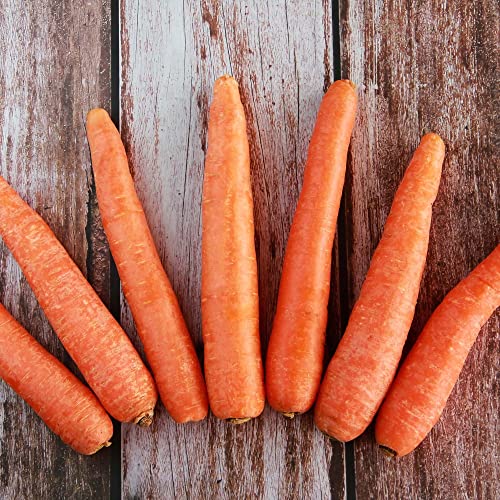 Big A Carrot Fertilizer and Root Vegetable Fertilizers – Premium Fertilizer for Carrots and Vegetable Garden – Organic Plant Food for Indoor and Outdoor Plants