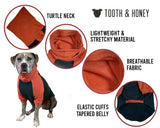 Tooth & Honey Pitbull Dog Sweater - Dark Green & Orange (Large)