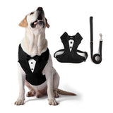 PawPleasure Dog Tuxedo Harness, Adjustable Pet Harness No Pull for Small Medium Dogs, Doggie Wedding Suit with Bow Tie Party Costume (Black, XL)