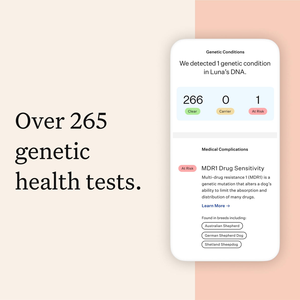 Wisdom Panel Premium Dog DNA Kit: Most Comprehensive with 265+ Health Tests, Identify 365+ Dog Breeds, 50+ Traits, Relatives, Ancestry, Genetic Diversity - Pack of 1