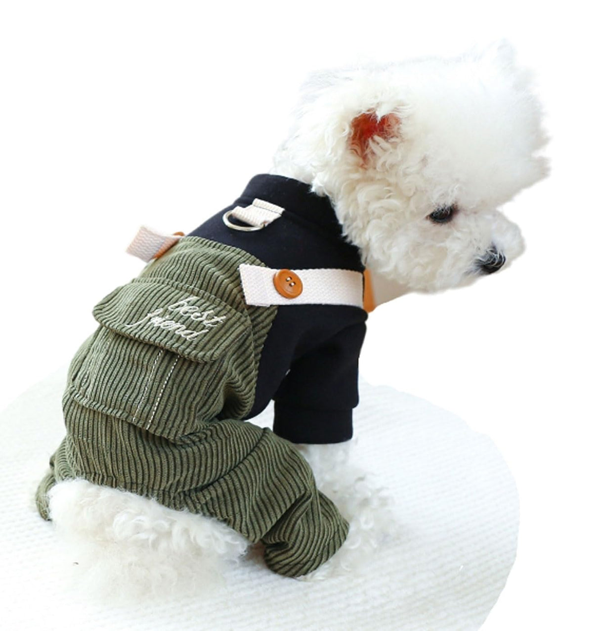 Dog Outfits for Small Dogs Boy Dog Clothes Boy Comfort Jumpsuit One Piece Cat Apparel Dog Pjs Small Dog Outfits Female Dog Tshirts Soft Chihuahua Puppy Clothes Dog Costume Black Green S