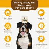 iHeartDogs Turkey Tail Mushroom for Dogs for Lumps, Bumps & Lipomas with Bone Broth and 6 Mushroom Blend Powder