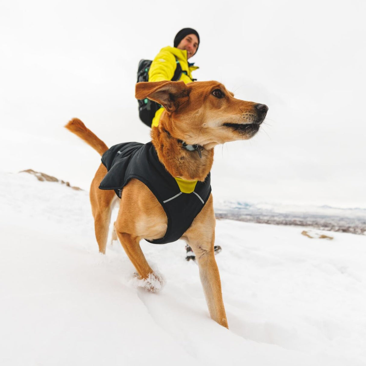 Ruffwear, Quinzee Dog Winter Jacket, Insulated Packable Puffer Vest with Leash Portal, Reflective Trim & Weather‑Resistant Shell, Adjustable Fit Coat, Harness Compatible, Obsidian Black, Small