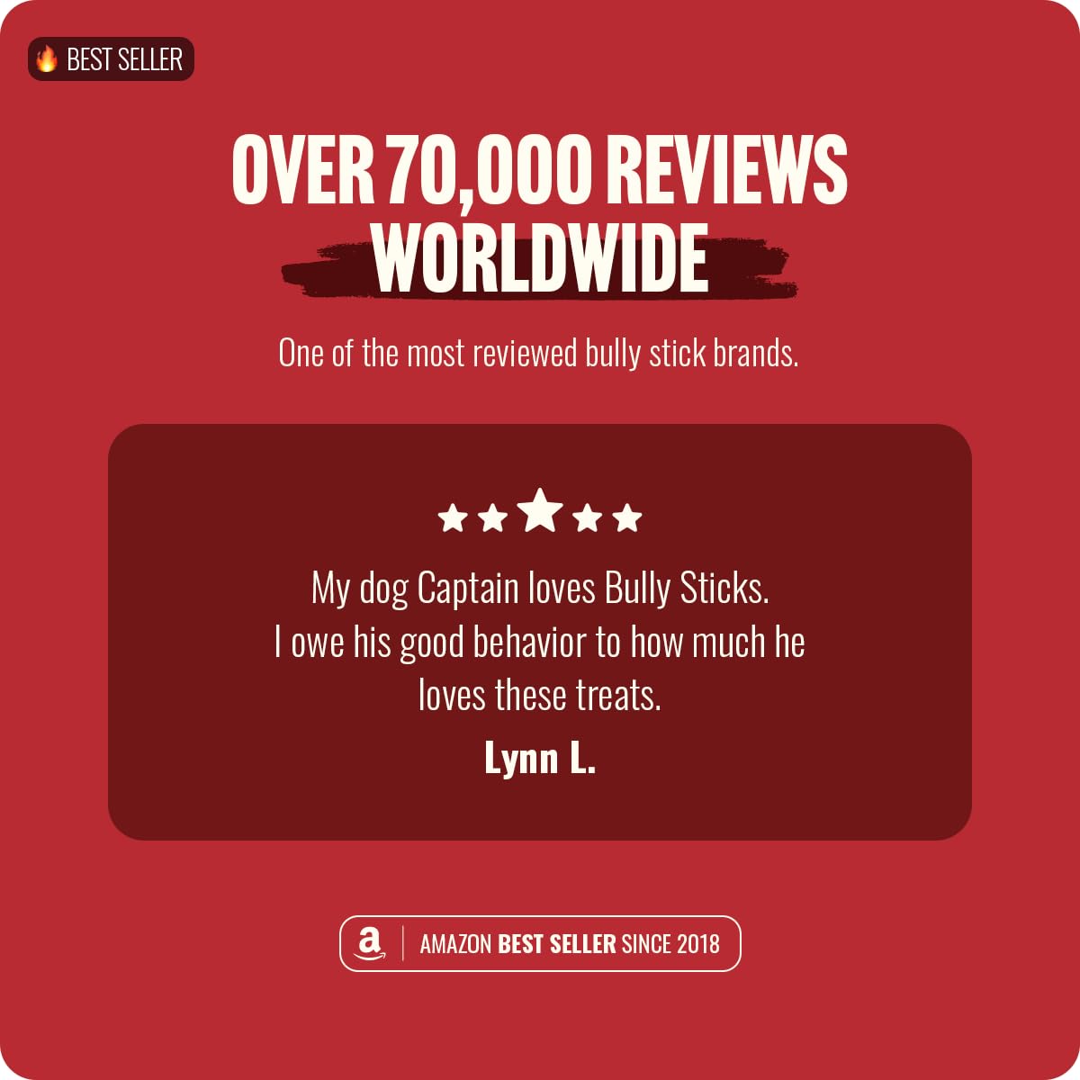 Natural Farm Odor Free Bully Sticks (4 Inch, 10 Pack) for Small & Medium Dogs - 100% Beef Chews for Pups, Non-GMO, Grain-Free, Fully Digestible Long Lasting Dog Treats