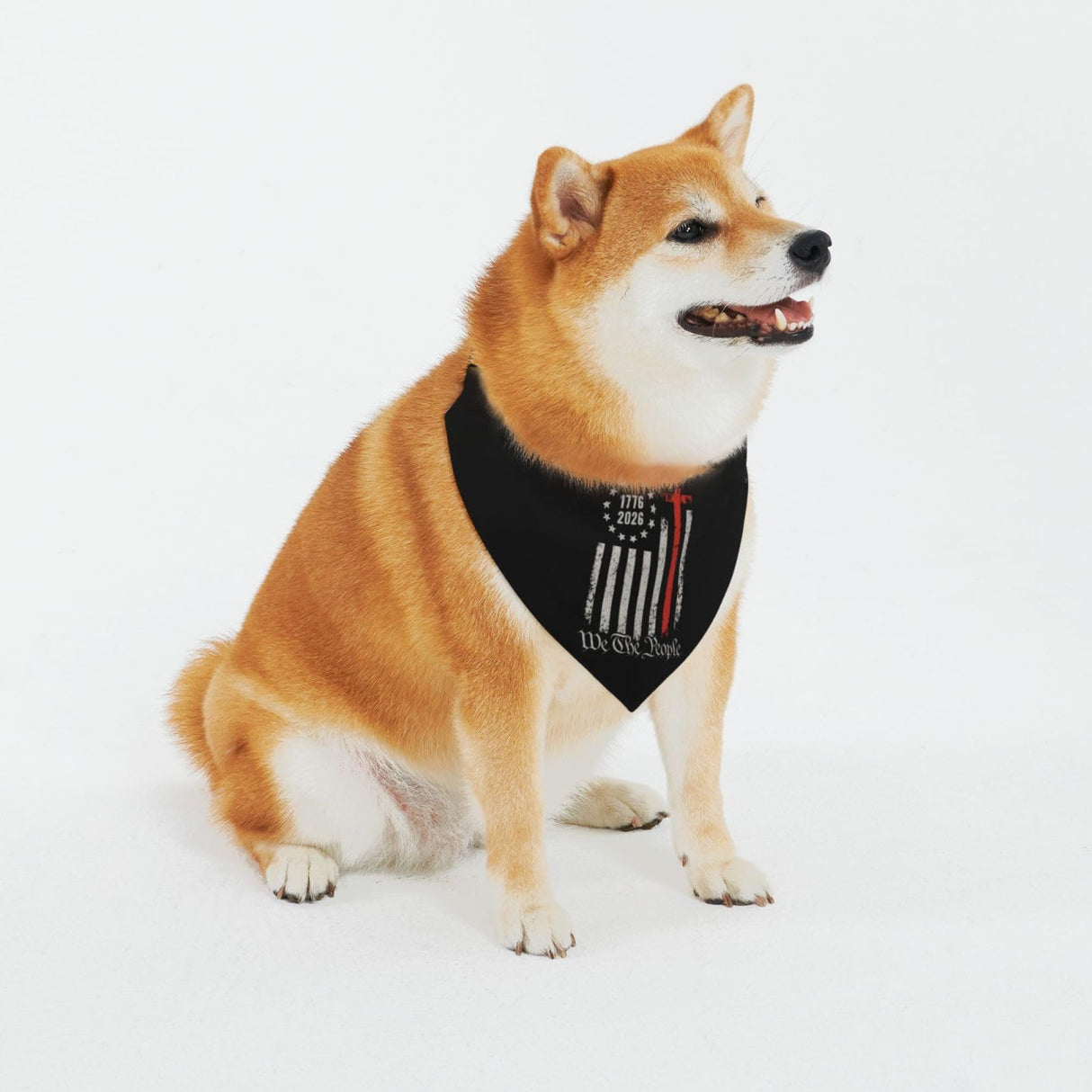 250th Anniversary Pet Bandana, 250 Years We The People Pet Scarf Triangle We The People Soft Pet Accessories for Dogs X-Large