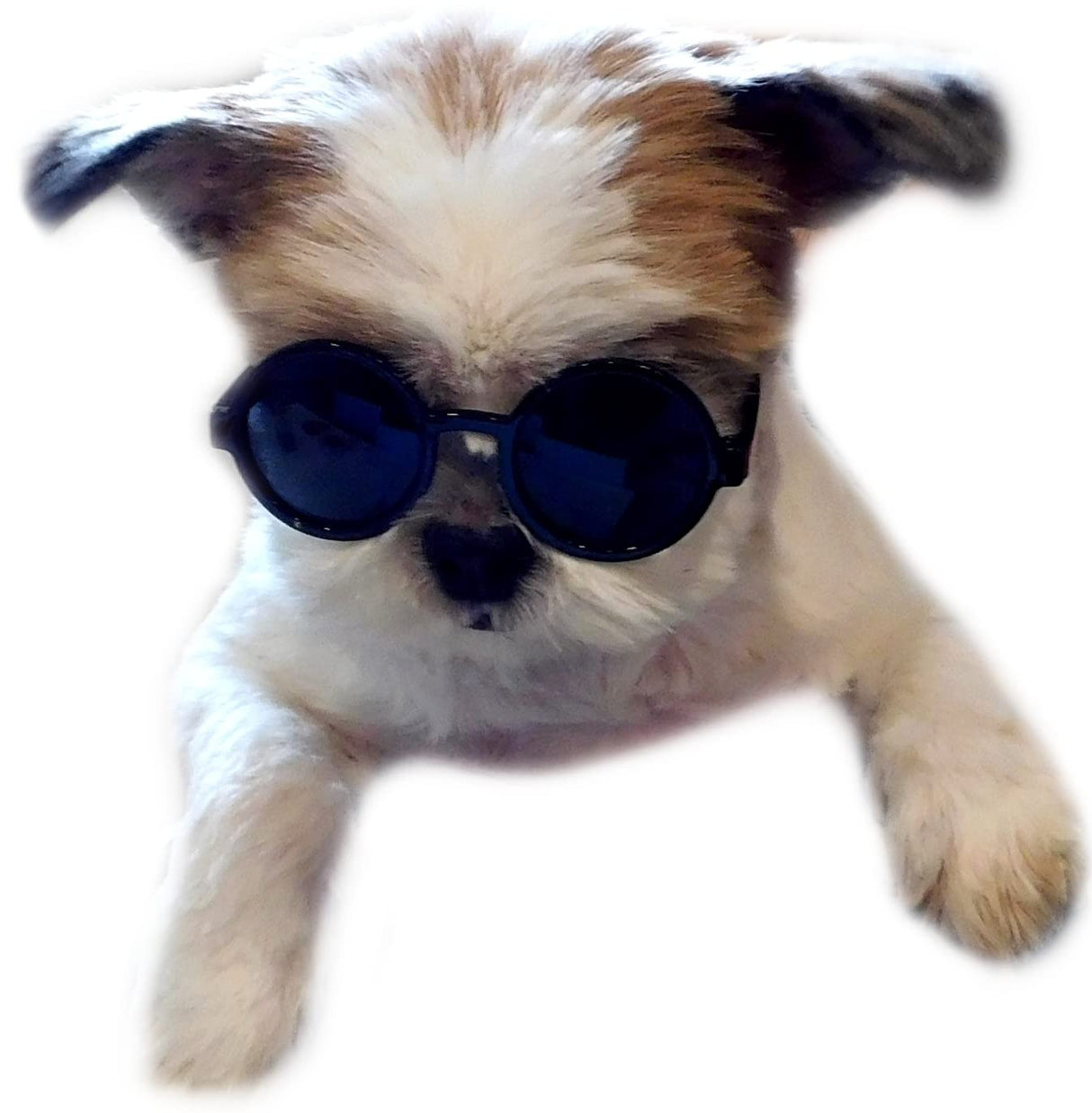 G016 Dog Cat Pet Round Sunglasses Goggles for Small Breed Dogs up to 15lbs (2-Pack Black + Pink)