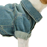 Reddy Icon Denim Dog Jacket Small