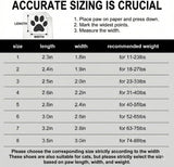 Breathable Light Up Shoes for Dogs & Cats, Anti-Slip LED Motion Breathable Shiny Boots Motion-Activated Pet Shoe (2PCS,1)