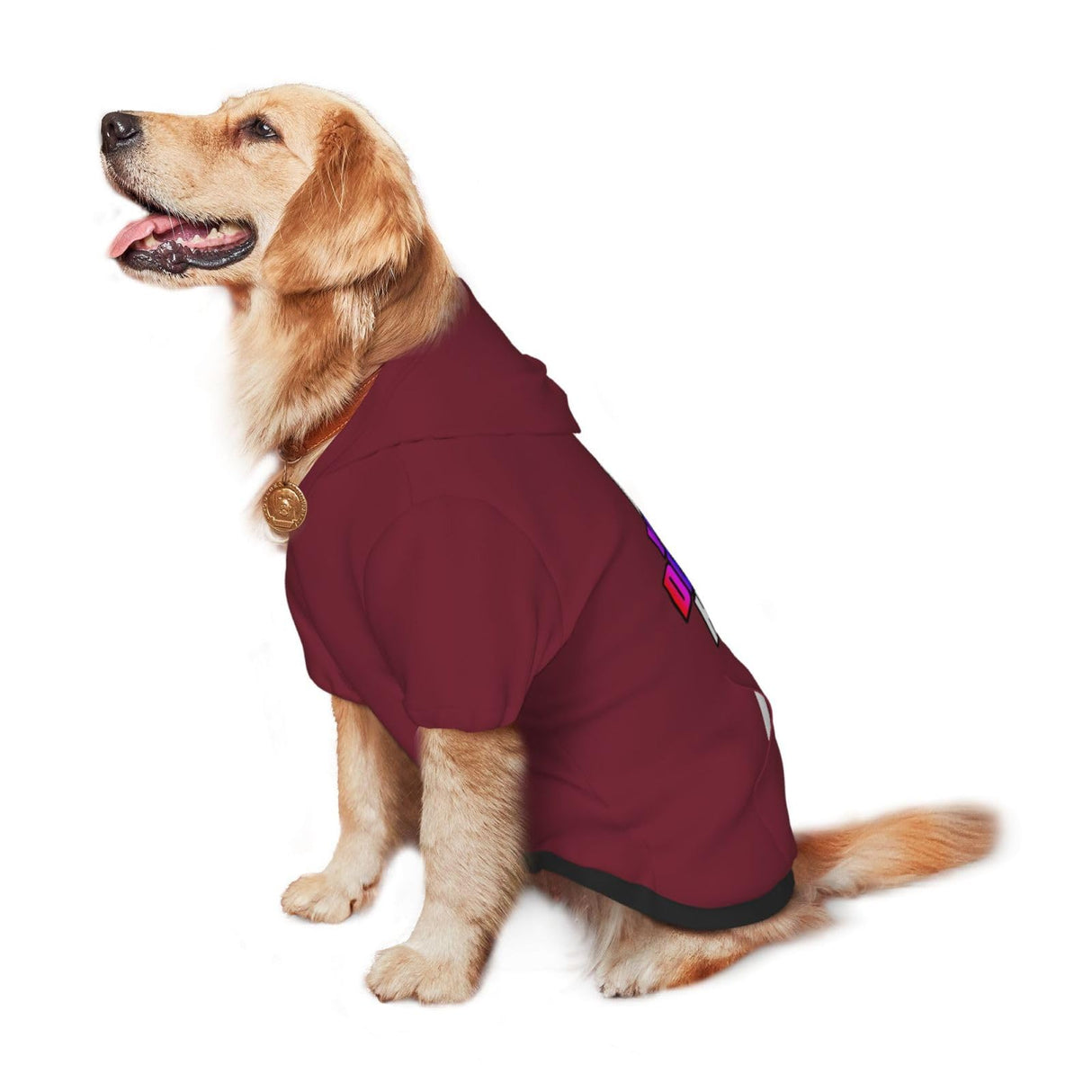 Custom Dog Hoodie Set with Name Photo,Personalized Pet Warm Sweater Hoodie for Medium Large Dogs & Cat Puppy Garnett S