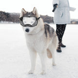 Enjoying Clear Dog Goggles for Large Dogs, Dog Sunglasses Medium Large Breed, Summer UV Pet Eye Protection, Winter Pet Snow Goggles, Transparent