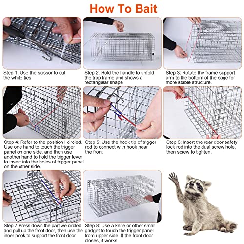 KOCASO Large Live Animal Trap Cage, Foldable Heavy Duty Humane Rat Trap for Indoor and Outdoor, Metal Mouse Trap for Squirrel Gopher Chipmunk Mice Raccoon, Easy to Catch and Release 31"x11"x12"