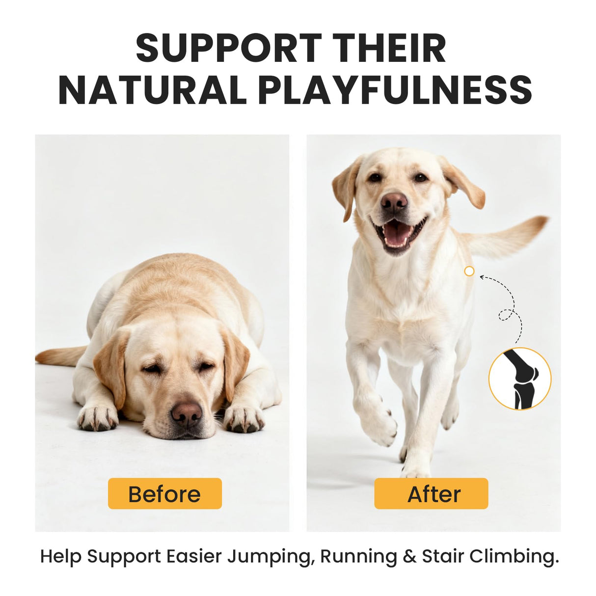 Furry Armor Dog Hip and Joint Supplement with Glucosamine & Chondroitin - Supports Mobility & Pain Relief for Senior & Large Dogs - 180 Soft Chews