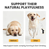 Furry Armor Dog Hip and Joint Supplement with Glucosamine & Chondroitin - Supports Mobility & Pain Relief for Senior & Large Dogs - 180 Soft Chews