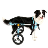 TailWaggers Medium Dog Wheelchair for Back Legs | Adjustable Mobility Aid | All-Terrain Wheels| for Pets That fit a Border Collie,Golden Retriever Dog's Size