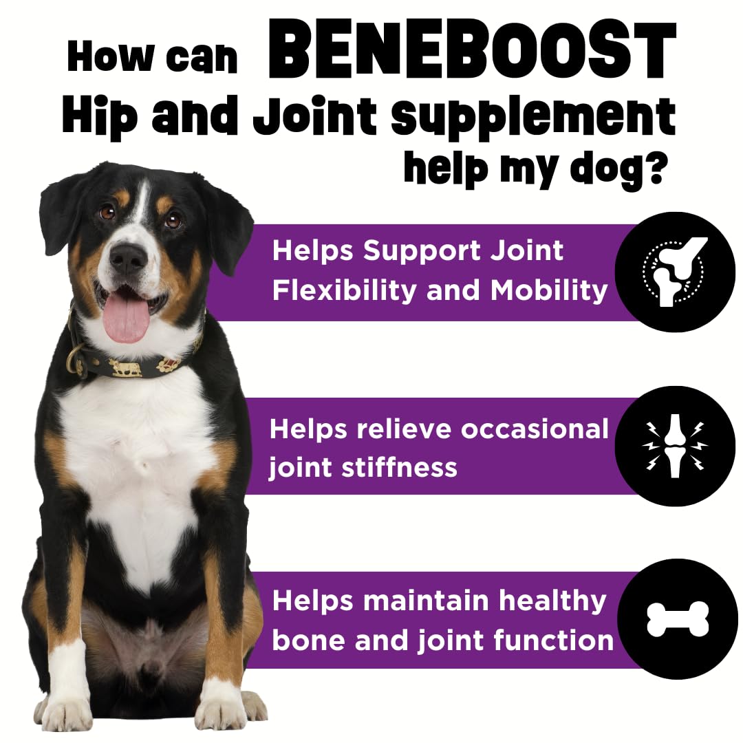 Dinovite BeneBoost Hip & Joint Liquid Topper for Dogs, Dog Joint Supplement with Glucosamine, Chondroitin, MSM & Hyaluronic Acid, Dog Mobility Support, Bacon Flavor, 6 fl oz